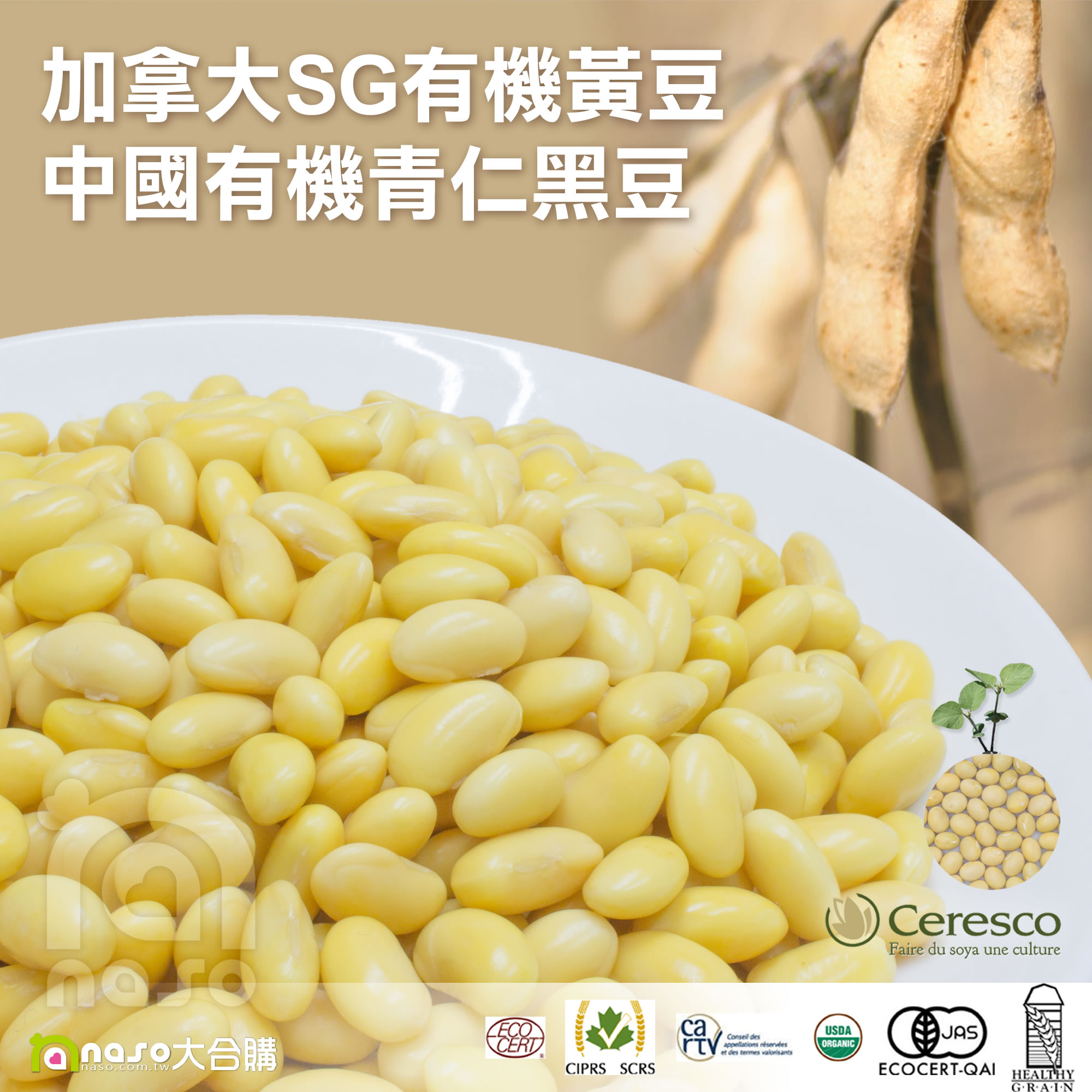 加拿大SG非基改有機黃豆/中國非基改有機青仁黑豆 好評第21團