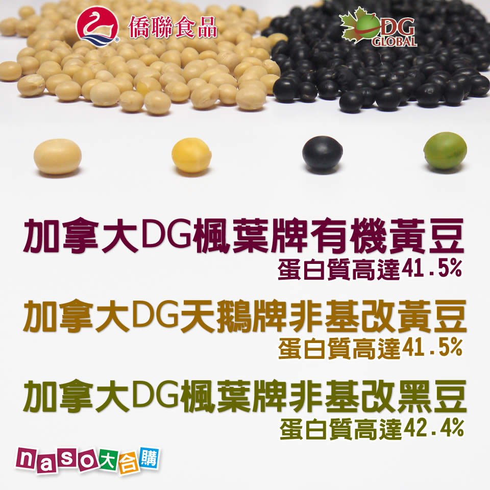 加拿大DG優質非基改青仁黑豆/黃豆/有機黃豆(好評第4團)