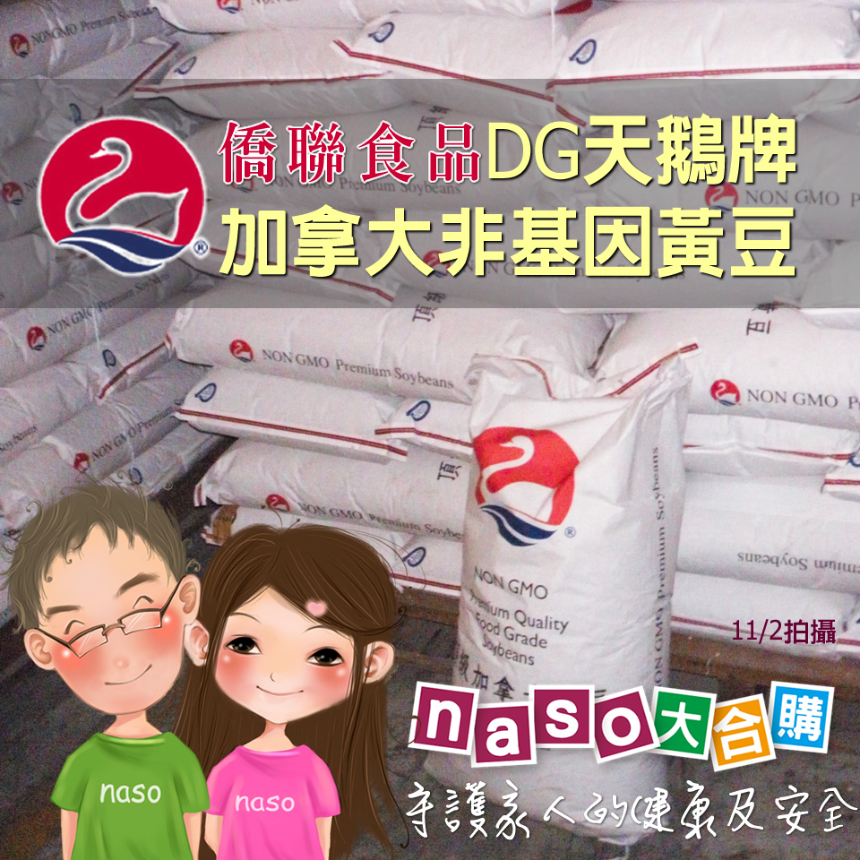 加拿大DG優質非基因改造/有機 黃豆