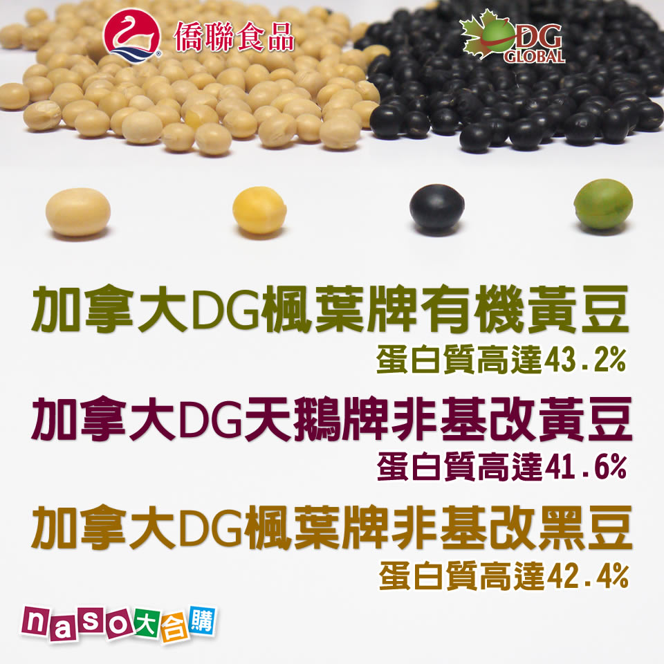 加拿大DG優質非基改青仁黑豆/黃豆/有機黃豆