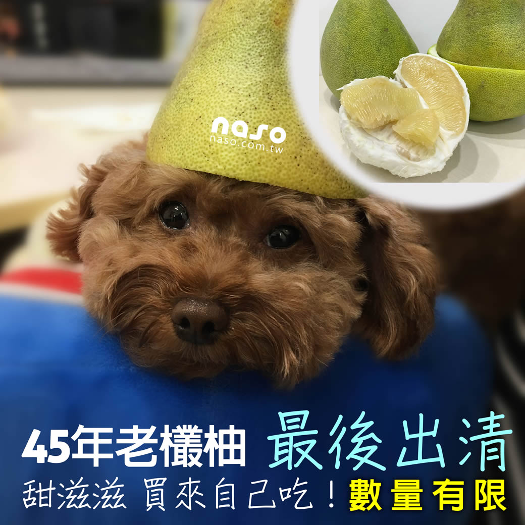【出清大回饋】花蓮鶴岡45年正老欉文旦禮盒 好評第2團